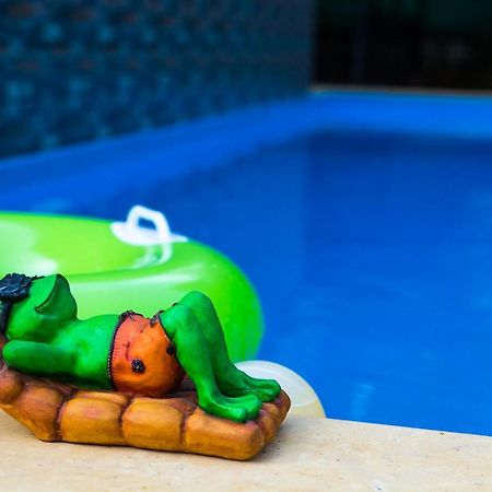 Lazy Frog Guest House Cavelossim Zewnętrze zdjęcie